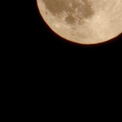 moon © Вова Посикера