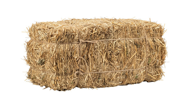 hay bale isolated on transparent background