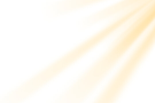 Warm golden sun rays light overlay on transparent background	
