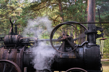 Steam engine sawmill, 19th century technology © Maryna Konoplytska