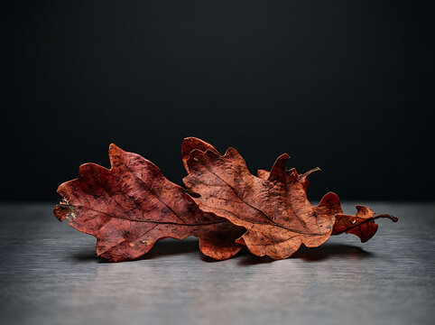 Dry fallen brown oak leaves lying on a textured gray metallic surface against dark background