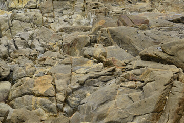 A bed of granite rock eroded by the action of the tides on the shores of the Atlantic Ocean. © Delfim Sa Neiva