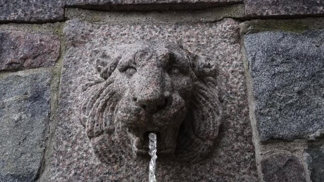 Stockholm, Sweden A lion figurehead spits out a water stream in a public fountain. 