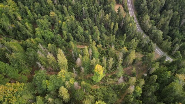 Babia G&oacute;ra - Polska
Najwyższy szczyt g&oacute;r Beskid&oacute;w nagrany dronem, lasy, szczyt ujęcie z drona, jesień, lato wiosna, piękne widoki