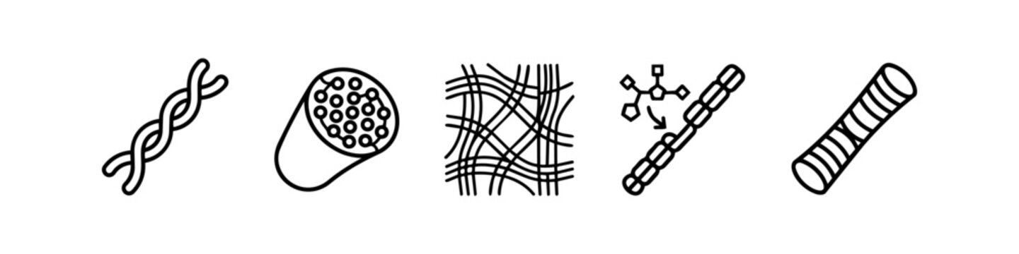 Collagen and fiber structure vector icon set showing molecular helix, bundled filaments, mesh tissue, polymer synthesis, and striated fibril. Linear icons for science and biology.