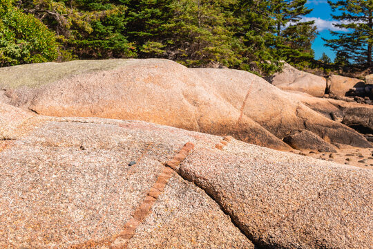 Pink Granite Rock Layers Geology Close Up Deer Isle Maine