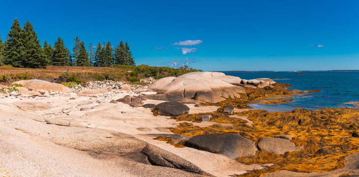 Large Coastal Rock Formations and Seaweed at Low Tide Deer Isle Maine