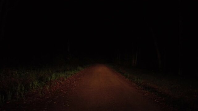 Night POV Driving Shot Moving Slowly Backwards on Dark Country Road in Sol&iacute;s Uruguay