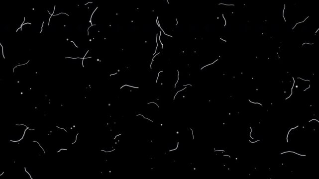 Abstract white dust particles overlay with fine squiggly fibers floating across dark empty space