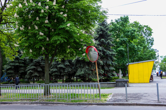 at intersection, spherical road observation mirror on a background of blooming horse chestnut, improving visibility, 