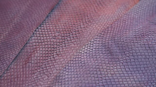 Closeup of textured snake scales. Macro view of serpent skin with rich details. Artistic macro photograph highlighting textured patterns and warm tones of snake skin