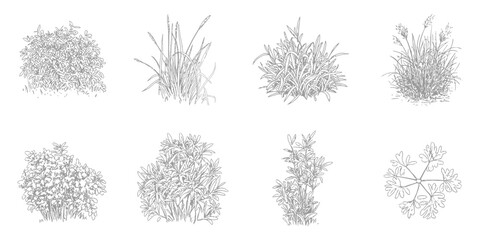 Shrub CAD Line Drawing, Minimal Ground Cover and Grass Sections for Architectural Elevation and Landscape Design © Akash