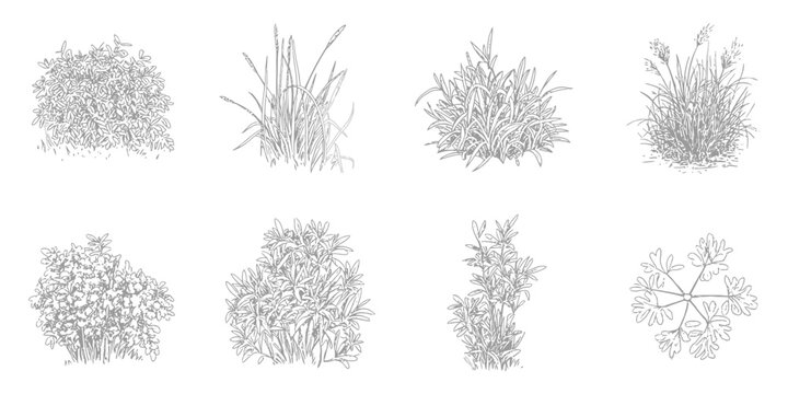 Shrub CAD Line Drawing, Minimal Ground Cover and Grass Sections for Architectural Elevation and Landscape Design