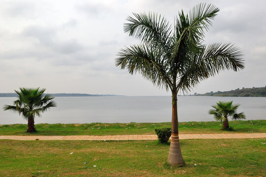 Victoria lake, Uganda. Africa