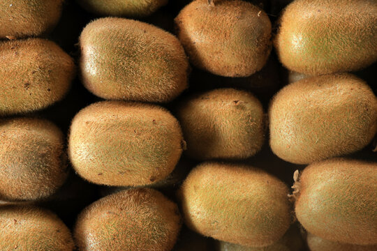 kiwi fruits on a supermarket shelf