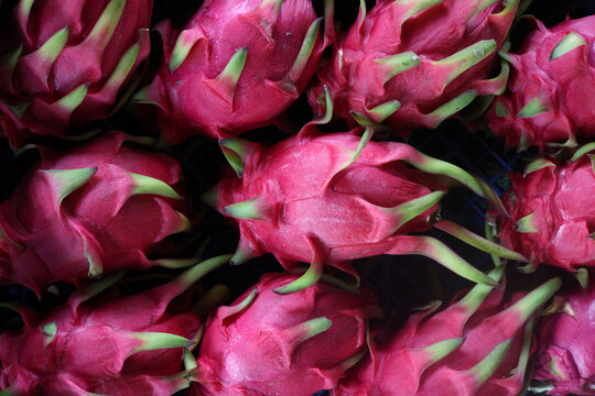 Pitaya (dragon fruit) on a supermarket shelf