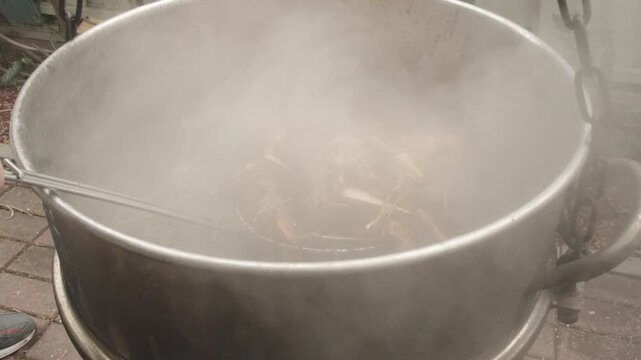 Steaming pot with hands adding, dried herb bundle lowered into boiling water, smoky vapor rising, outdoor stove on patio, simmering infusion, closeup on palms and rustic cookware
