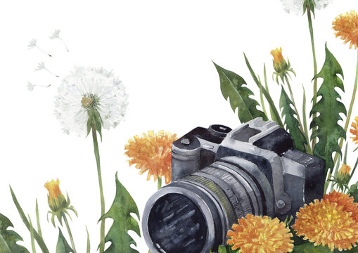 Camera with dandelions, buds, seed heads and green leaves forms a watercolor botanical frame with copy space for photography, cards, posters and spring design