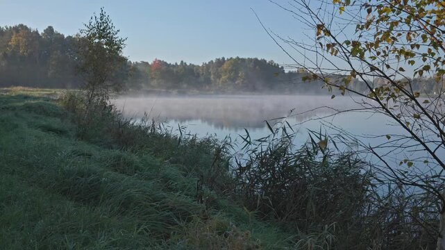 Moving autumn mist over a calm pond in the morning.