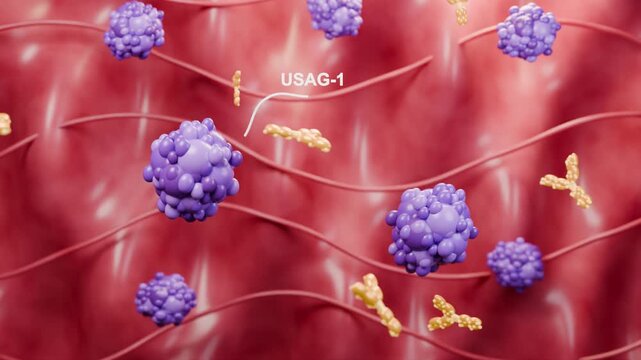 Dental Regeneration Concept with USAG-1 Protein and Antibody Therapy 3D Render. 3D Medical Animation of Tooth Regeneration with USAG-1 Protein Blocking Concept