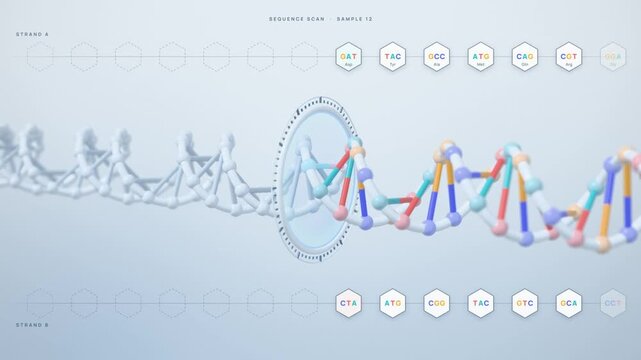 DNA sequencing scan seamless loop, double helix passing through scanner with genetic codon readout