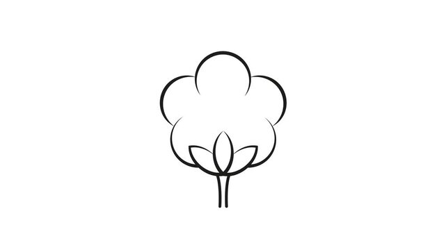 Cotton plant icon loop animation for textile industry