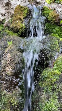 Vertical video of spring water running over mossy stones