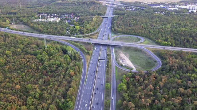 Aerial view of multi-lane highway interchange with flowing traffic over overpass bridge and curved ramp loops through mixed forest under soft daylight with green and autumn foliage