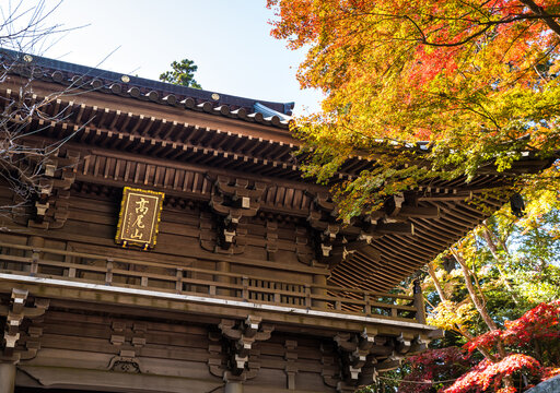 高尾山薬王院 山門 秋 （東京都八王子市）