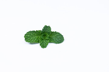 Mint leaves isolated on white background for herbal medicine and tea ingredient. Organic Mint leaves peppermint isolated on white background for traditional herbal remedy © Semoga