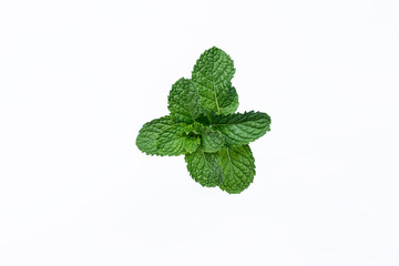 Mint leaves isolated on white background for herbal medicine and tea ingredient. Organic Mint leaves peppermint isolated on white background for traditional herbal remedy © Semoga