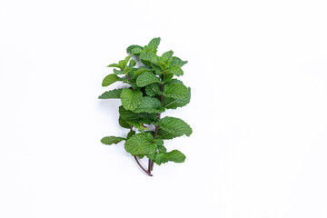 Mint leaves isolated on white background for herbal medicine and tea ingredient. Organic Mint leaves peppermint isolated on white background for traditional herbal remedy © Semoga
