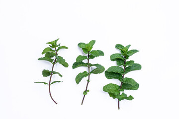 Mint leaves isolated on white background for herbal medicine and tea ingredient. Organic Mint leaves peppermint isolated on white background for traditional herbal remedy © Semoga