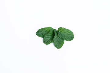 Mint leaves isolated on white background for herbal medicine and tea ingredient. Organic Mint leaves peppermint isolated on white background for traditional herbal remedy © Semoga