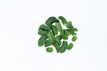 Mint leaves isolated on white background for herbal medicine and tea ingredient. Organic Mint leaves peppermint isolated on white background for traditional herbal remedy © Semoga