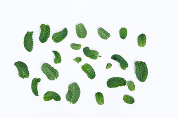 Mint leaves isolated on white background for herbal medicine and tea ingredient. Organic Mint leaves peppermint isolated on white background for traditional herbal remedy © Semoga
