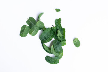 Mint leaves isolated on white background for herbal medicine and tea ingredient. Organic Mint leaves peppermint isolated on white background for traditional herbal remedy © Semoga