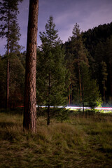 Obraz premium Pine Flats Campground, Oak Creek Canyon