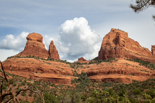 Red Rocks, Sedona, AZ