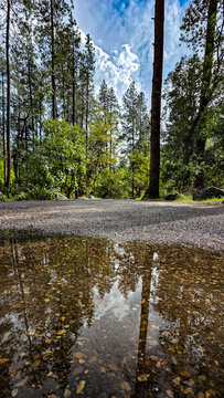 Pine Flats Campground, Oak Creek Canyon