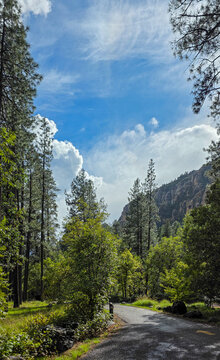 Pine Flats Campground, Oak Creek Canyon