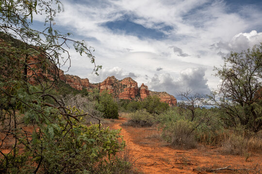 Red Rocks, Sedona, AZ