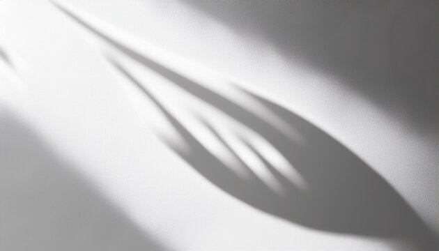 organic drop diagonal shadow on a white wall overlay effect for photo mock ups posters stationary wall art design presentation