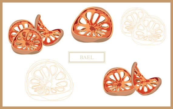 A collection of bael dried in various shapes and sizes, arranged in a seamless pattern on a white.