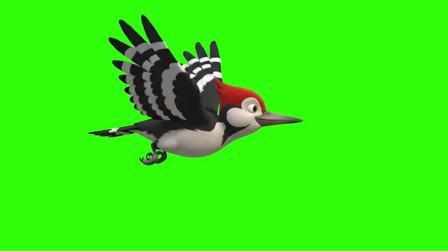 A cute 3D animated woodpecker bird with a red cap flapping its spotted wings while flying on a chroma key green background. Great for forest wildlife videos, children educational channels, cartoon ani
