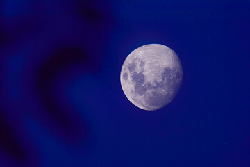 Fototapeta premium The moon at night , from Argentina