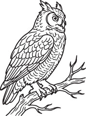 Obraz premium Minimalist black and white line art illustration of a full body owl perched on a branch