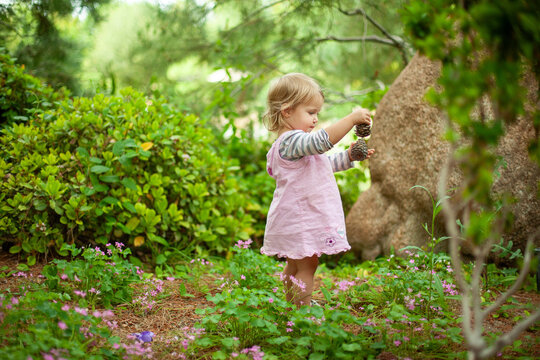 Young Child Exploring Nature and Collecting Pinecones Outdoors