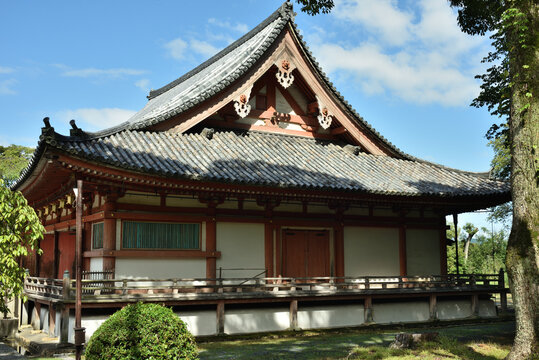 醍醐寺　金堂　東側面より(京都市伏見区)