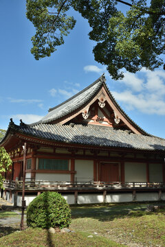 醍醐寺　金堂　東側面より(京都市伏見区)